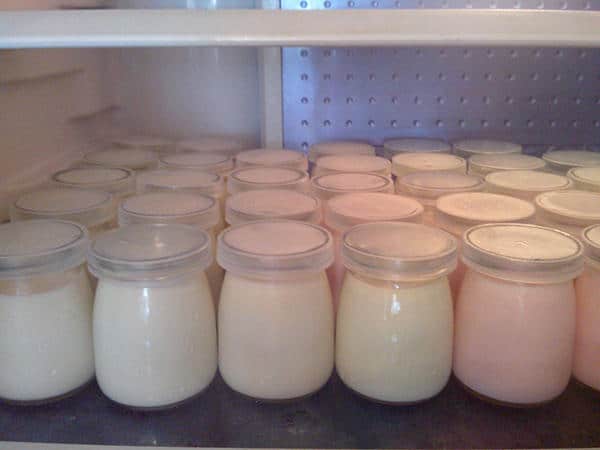 Cách Làm Sữa Chua Và Sữa Chua Hy Lạp Tại Nhà