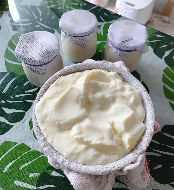 sữa chua hy lạp 
