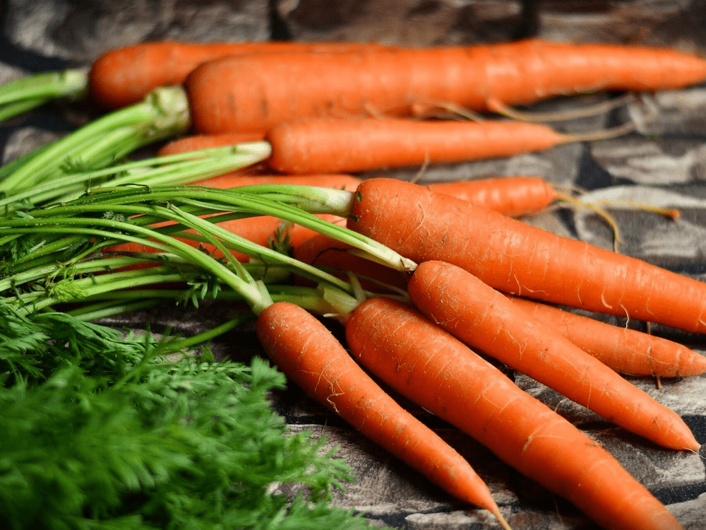Cách làm nước ép cà rốt thơm ngon bổ dưỡng tại nhà