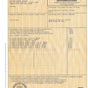EU Expert Certificate of Origin page 0001 Gia Dụng Đức Sài Gòn