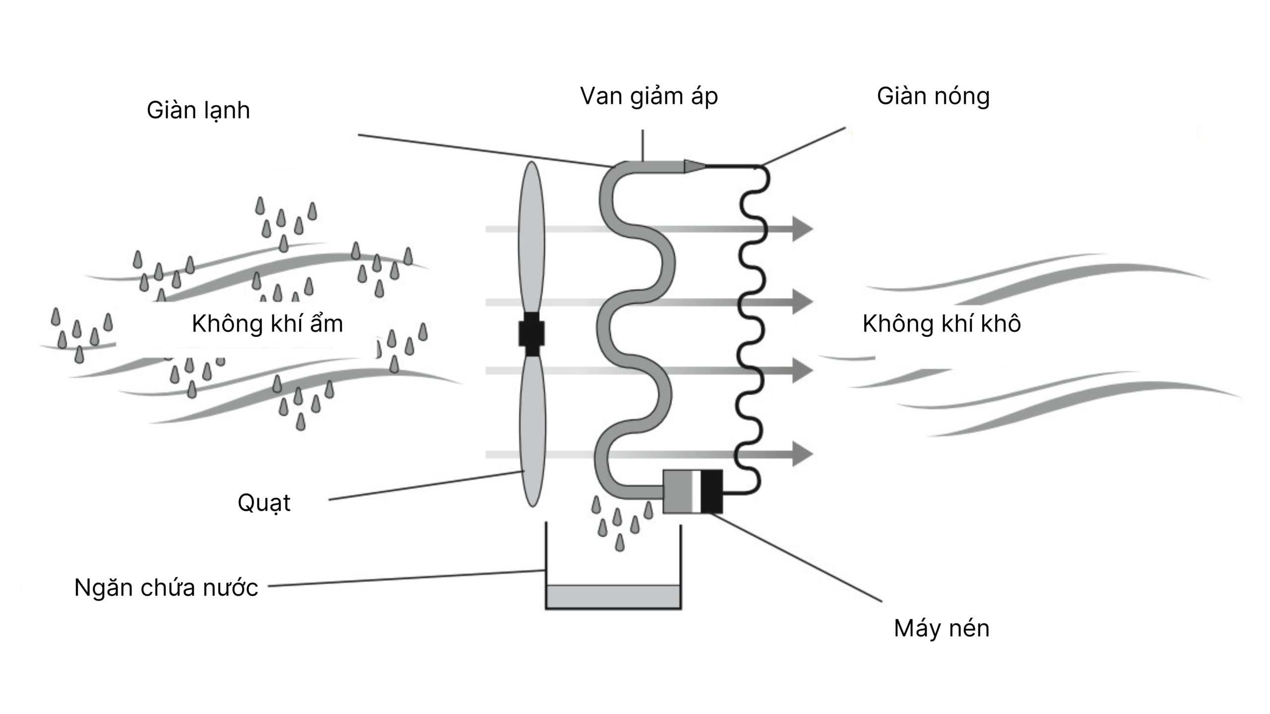 Trao doi nhiet lanh 1 scaled Gia Dụng Đức Sài Gòn