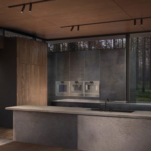 lo nuong kem hap gaggenau bs450111 400 series am tu 9 Gia Dụng Đức Sài Gòn