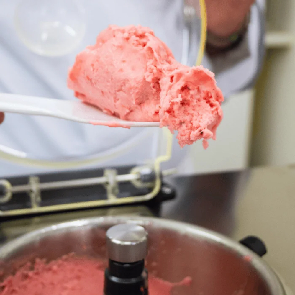 may-lam-kem-mini-nemox-003b420250-gelato-chef-3l-automatic-i-green-1-5-lit-7 may lam kem mini nemox 003b420250 gelato chef 3l automatic i green 1 5 lit 7 Gia Dụng Đức Sài Gòn