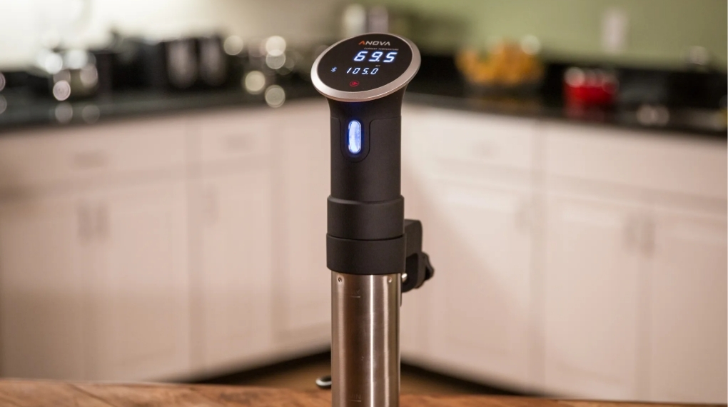 Máy sous vide Anova phù hợp cho người mới làm quen với phương pháp sous vide